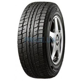 Dunlop Graspic DS-2 225/50 R16 92Q