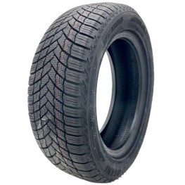 Otani WE1000 185/65 R15 88H
