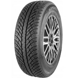 Cooper Discoverer Winter 225/55 R17 101V