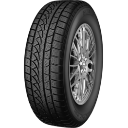 Petlas Snowmaster W651 205/60 R15 91H