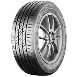 Point S Summer 195/55 R16 87H